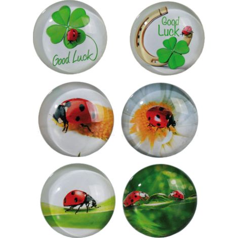 Aimant de réfrigérateur en verre Coccinelle joyeuse