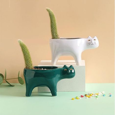 Petit pot à fleurs pour chats, Mini pot à fleurs en céramique, Pot à sucentes pour cactus, Décoration de jardin ou de bureau, 2 pièces (1/5)