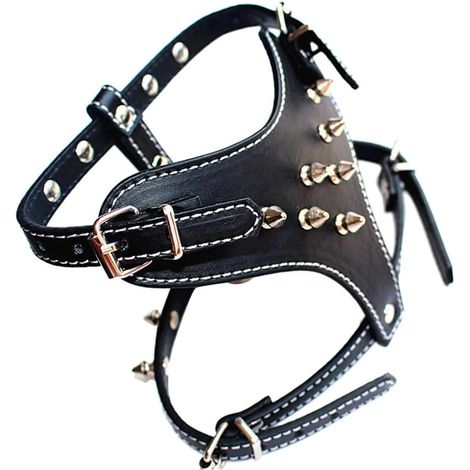 Harnais en cuir noir pour petits chiens, orné de pointes et de clous. (1/5)