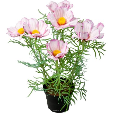 Cosmos fleuries artificielle en pot H 40 cm Pourpre-blanc - couleur: Pourpre-blanc (1/3)