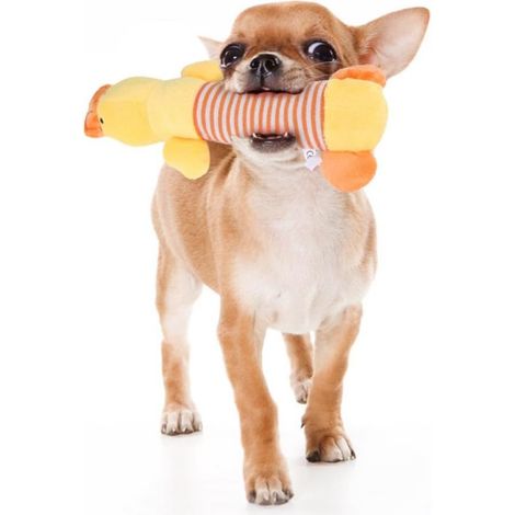 1 pc jouets pour chiens, jouets couineurs pour chiens, jouets pour animaux à mâcher pour chiots (canard jaune) (1/5)
