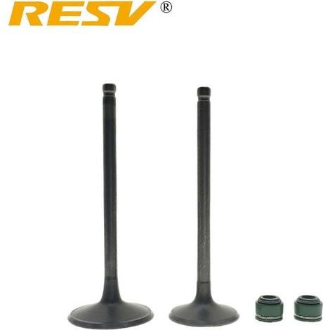 Convient pour APOLLO 250CC DB 36 RX 250 Joint d'huile de tige de soupape d'admission et d'échappement (1 paire) (1/3)