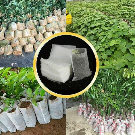 Lot de 200 sacs de semis biodégradables en tissu non tissé pour culture de plantes (12 x 12 cm)