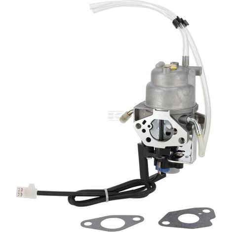 Carburateur BRIGGS & STRATTON 596108
