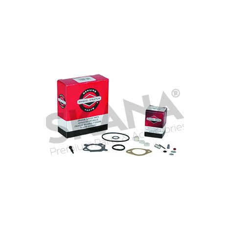 Kit riparazione carburatore BRIGGS ET STRATTON BS498260