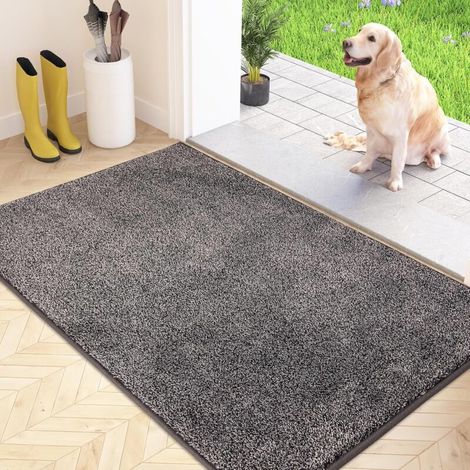 Bardusch-Paillasson attrape-poussière, tapis de sol antidérapant lavable machine, microfibres douces absorbantes pour chien, entrée6040cm (1/3)