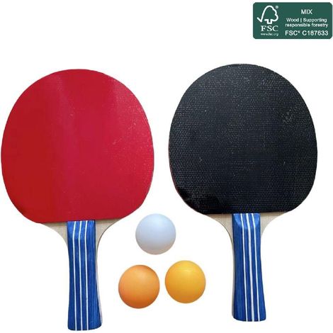 Ensemble de tennis de table SportX - Ensemble de tennis de table avec balles 4 étoiles