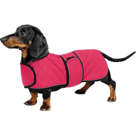 Warm waterproof coat for dachshund, winter coat for dogs with warm fleece lining and adjustable strips, winter jacket for small and medium dogs, black-XS (1/5)