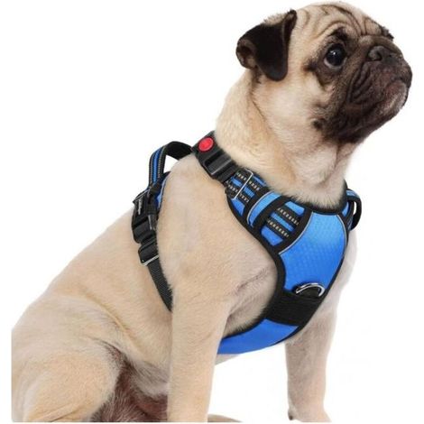 Harnais Chien Anti Traction avec 3 boucles pour Chien Facile à Mettre Harnais Réfléchissant Réglable pour Chien Bleu S (1/4)