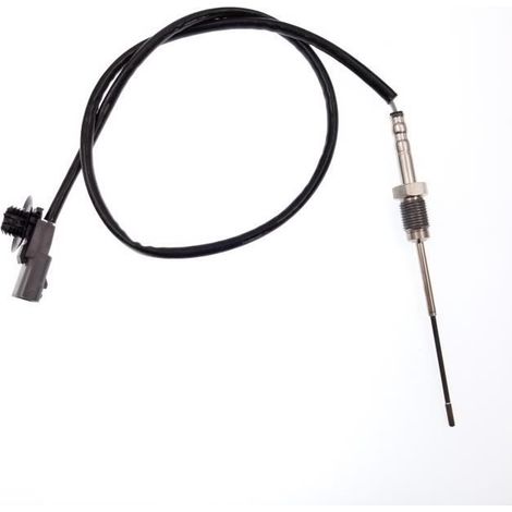 Abgastemperatursensor, 226400467R (1/3)