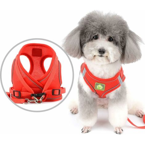 Green Mobility-Harnais pour chien et laisse pour petits chiens chiots Harnais de poitrine réfléchissant réglable en maille douce Harnais de chat anti-évasion pour chiot Chihuahua filles et garçons Rou (1/5)
