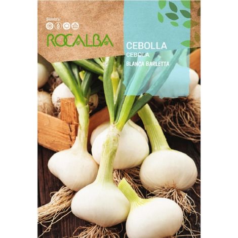 Rocalba Blanco Barletta 4G x 10 buste