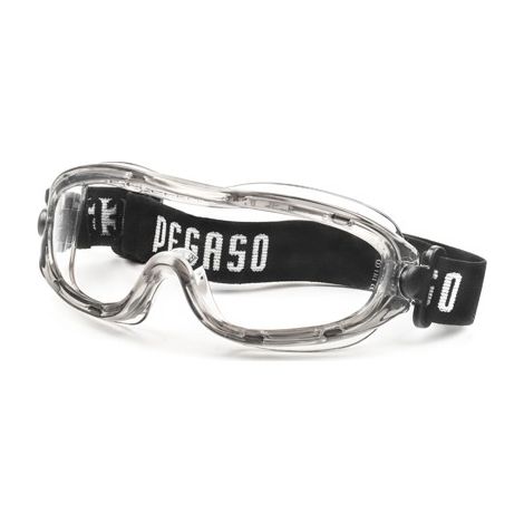 LUNETTES PANORAMIQUES GOGGLE