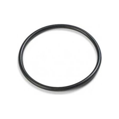 INTEX GUARNIZIONE PER VALVOLA PLUNGER