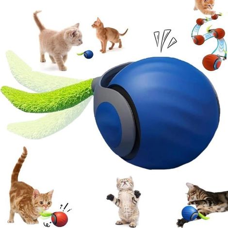 Jouet pour chat - SANS MARQUE - 2025 - Balle interactive - Vitesse réglable - Durable et silencieux (1/5)