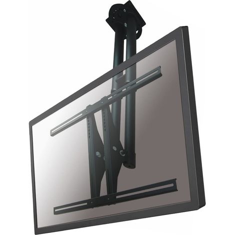 NewStar PLASMA-C100BLACK - Soporte de techo para TV, negro (1/3)