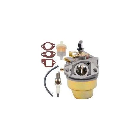 Vergaser für Honda G150 und G200, inklusive Dichtung und Kraftstofffilter. Kompatible Teilenummern: 16100-883-095, 16100-883-105