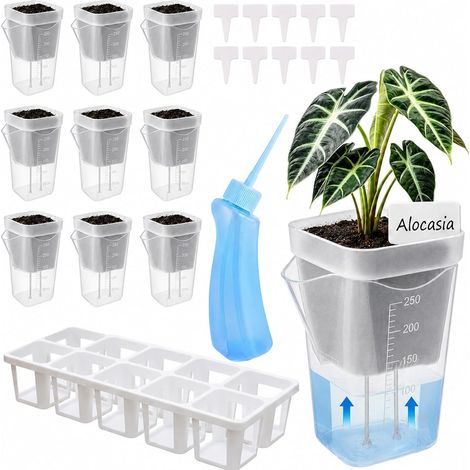 Boîte de culture auto‑arrosante pour semis et succulentes, séparée avec soucoupe, bac à graines, Composition : 10 pièces, blanc, avec soucoupe, Couleur : transparent (1/5)