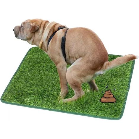 Grass Dog Pee pad, Artificial Grass with Lower pod Edge, Green, Easy-to-Clean Design, Reusable, Odor-Proof (1/5)