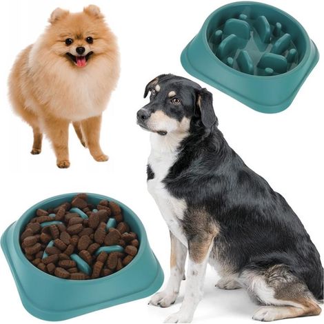 Slow-Food-Napf für Hunde und Katzen (1/5)