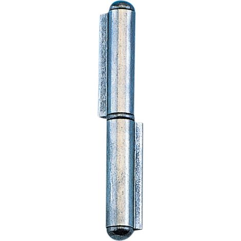 Cerniera 2 Ali Perno Fisso 140 mm Combi Arialdo 1,0 Bs Bs 4 Pezzi