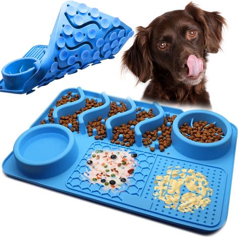 Slow feeder BLUE