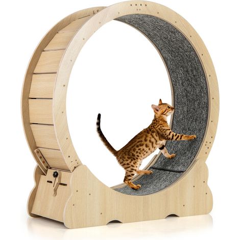 Pour l'exercice quotidien et moins de stress, roue pour chat d'intérieur 40 pouces avec tapis remplaçable (1/5)