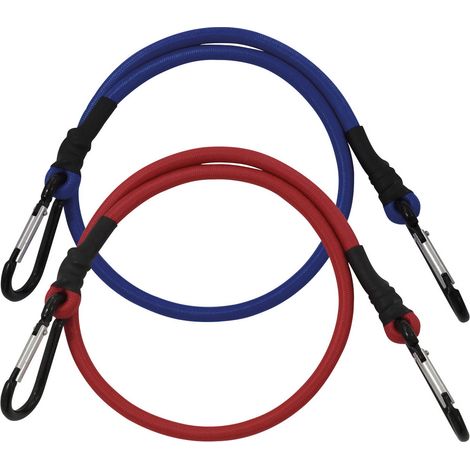 Petex 43192200 Expander Mit Karabinerhaken