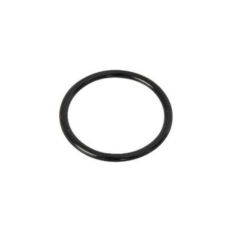 BESTWAY - P06331 - O ring per SPA (2021/2022)