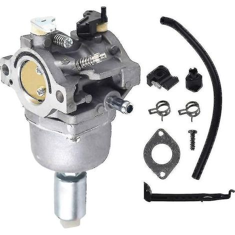 Ecleanfy - Kit de carburateur pour tracteur tondeuse Briggs & Stratton 17.5 I/C Ohv (ruipei) (1/5)