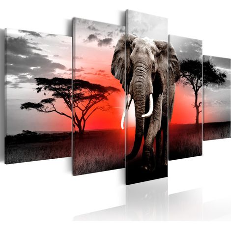 Tableau Imprimé "Lonely Elephant" 50 x 100 cm (1/2)