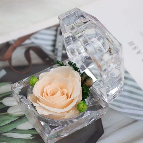Rose Préservee - Boite Anneau Claire 4,7 cm - Fleur Eternelle Naturelle - Pour Cadeau Femme Maman Copine - 1 Unite (1/4)