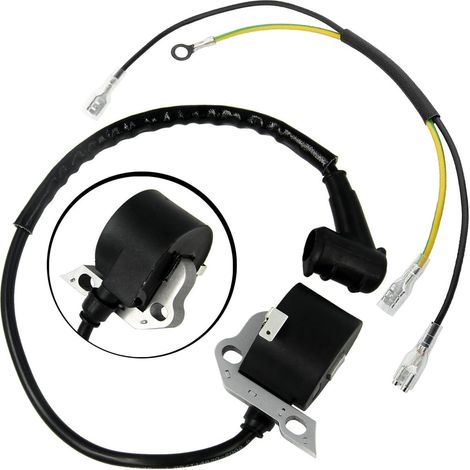 Bobina di accensione ad alta tensione per BR320 BR340 SR420 4203 400 1301 - ALTRI