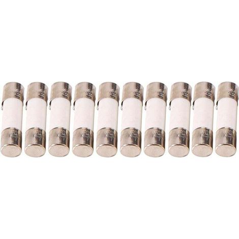 10 Pièces Tubes Céramique Fusibles 5x20mm 250V 0.5A à 500mA Rupture