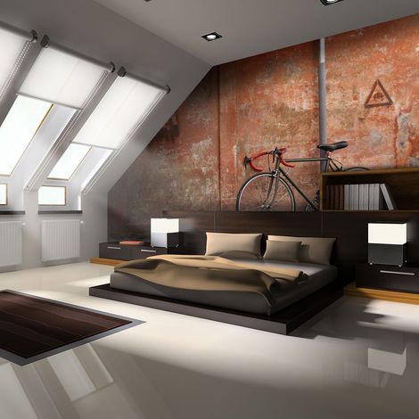 Fotomurale - Bicicletta - 250x193 (1/4)