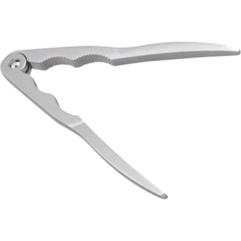 Erste verchromte Schalentierschale und Nussknacker R/ 8 – 80010