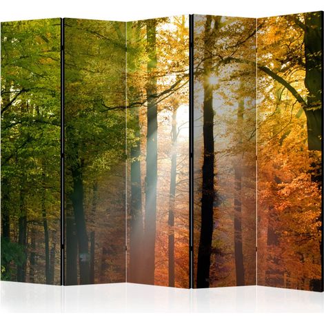 Paravent 5 Volets "Forest Colours" 172x225cm (1/2)