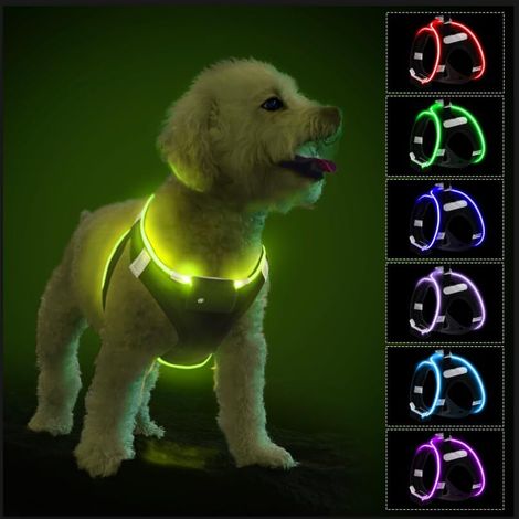Harnais LED pour Chien Réglable et Rechargeable - Harnais de Sécurité Lumineux 360° pour Promenades Nocturnes et Visibilité Maximale (1/5)