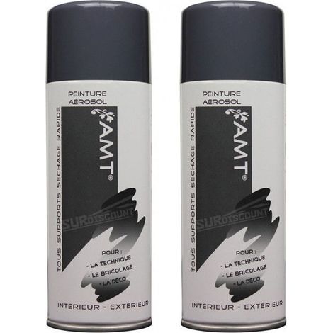 Bombe de Peinture - AMT - Ardoise Mat - Lot de 2 - 330ml - Séchage rapide 10 min