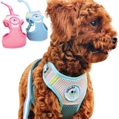 TRADE SHOP - Pettorina Con Guinzaglio Regolabile Per Cane Taglia Piccola Con Disegni Colori - (1/3)