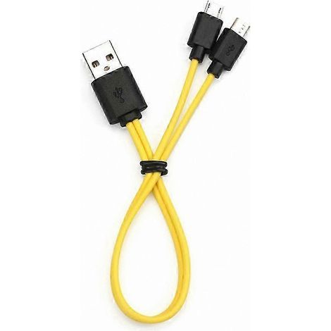 Câble de charge double port micro USB et type C pour smartphones et appareils