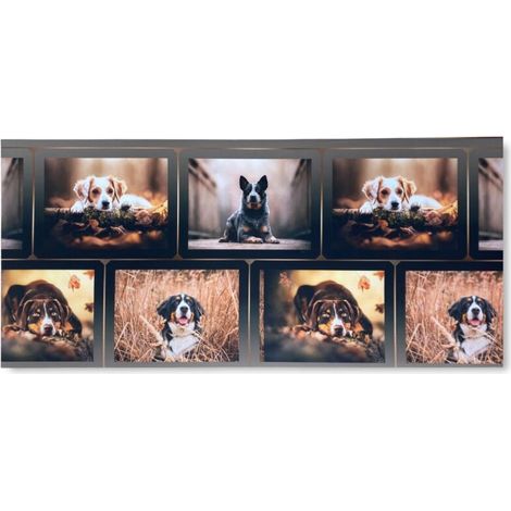 CARPET Runner Cuisine Runner Anti-dérapant DOG Chiens Made in Italy Cm. 50x120 (1/5)