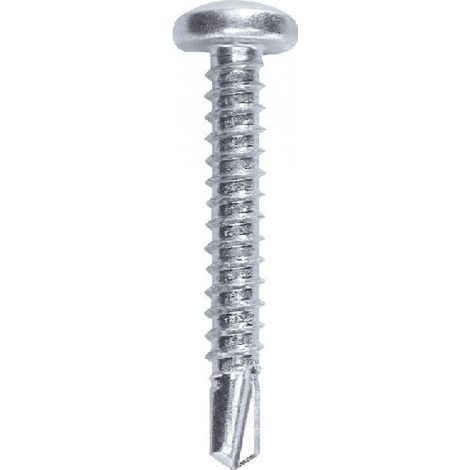 VITE AUTOPERFORANTE ZINCATA BLISTER 4.8x25 mm - 25 pz