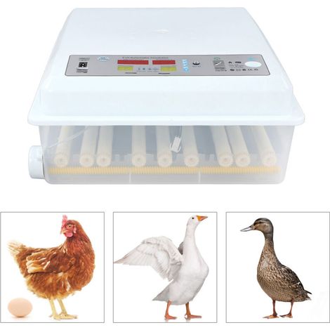 Rosvola Incubateur Oeufs Couveuses Automatique Retournement Automatique, Contrôle De La Température Réglable avec LED Lumière D'oeuf Intégré pour Poulet, Canard, Oie, Pigeon (1/5)