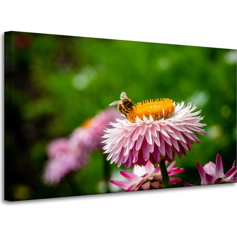 Lienzo impreso Abeja sobre una margarita 100x60 cm