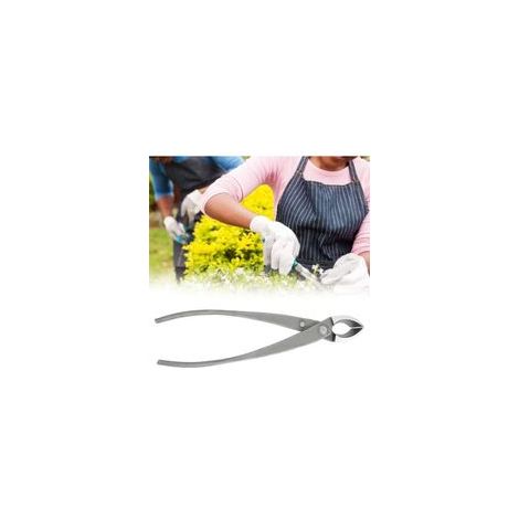 Lntyq Ciseaux à bonsaï, Coupe-Boutons 21 Cm, Pince Concave Multifonctionnelle, élagueurs, Ciseaux de Jardin en Acier au Carbone, Outils de bonsaï pour Terrasse, Pelouse Jardin, Coupe (1/5)