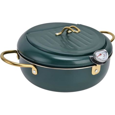Marmite Mini friteuse à température réglable en acier inoxydable 304 avec thermomètre pour cuisine (acier inoxydable 304