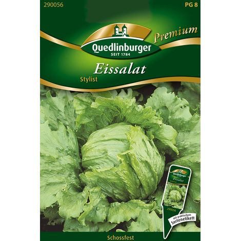 Quedlinburger Saatgut – Laitue iceberg Stylist – Graines de légumes, résistante au mildiou et au puceron vert (1/2)