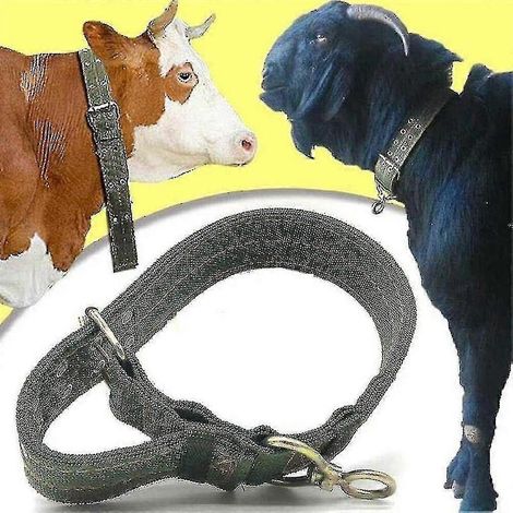 Collier de traction ajustable pour vaches, accessoire d'alimentation pour bétail, sangle en toile, robuste et durable Bela Yanlieso (1/5)