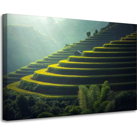 Lienzo impreso con paisaje natural y agrícola, 90x60 cm.